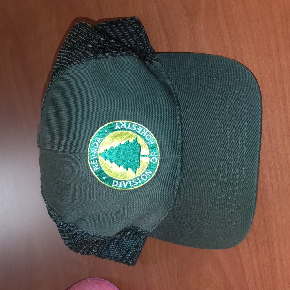 Vtg Nevada Division Of Forestry Green Yellow Trucker Mesh Snapback Hat